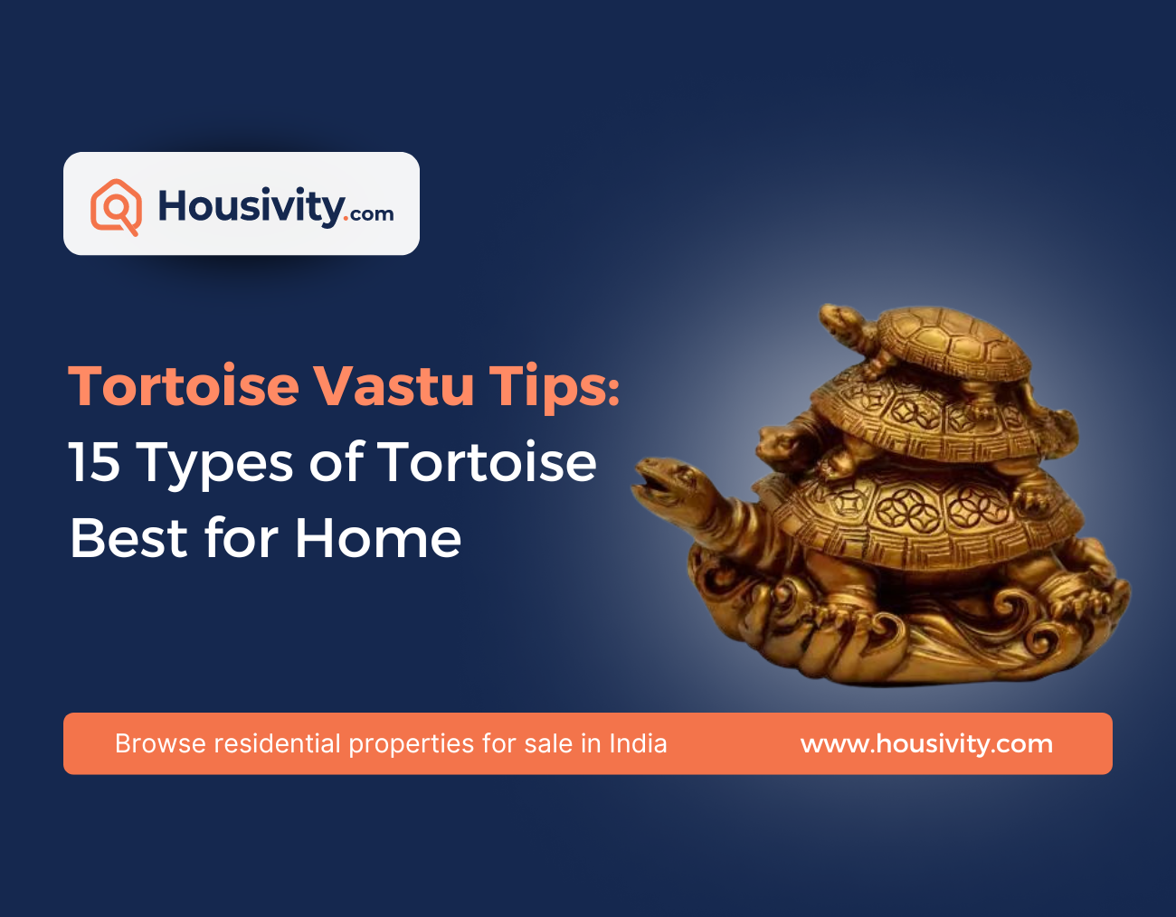 Tortoise Vastu Tips: 15 Types of Tortoise Best for Home