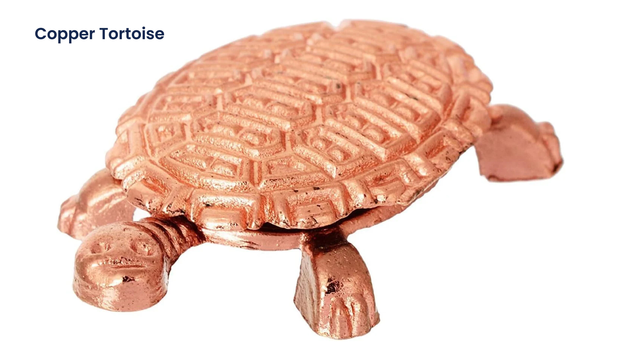 Tortoise-Vastu-Tips