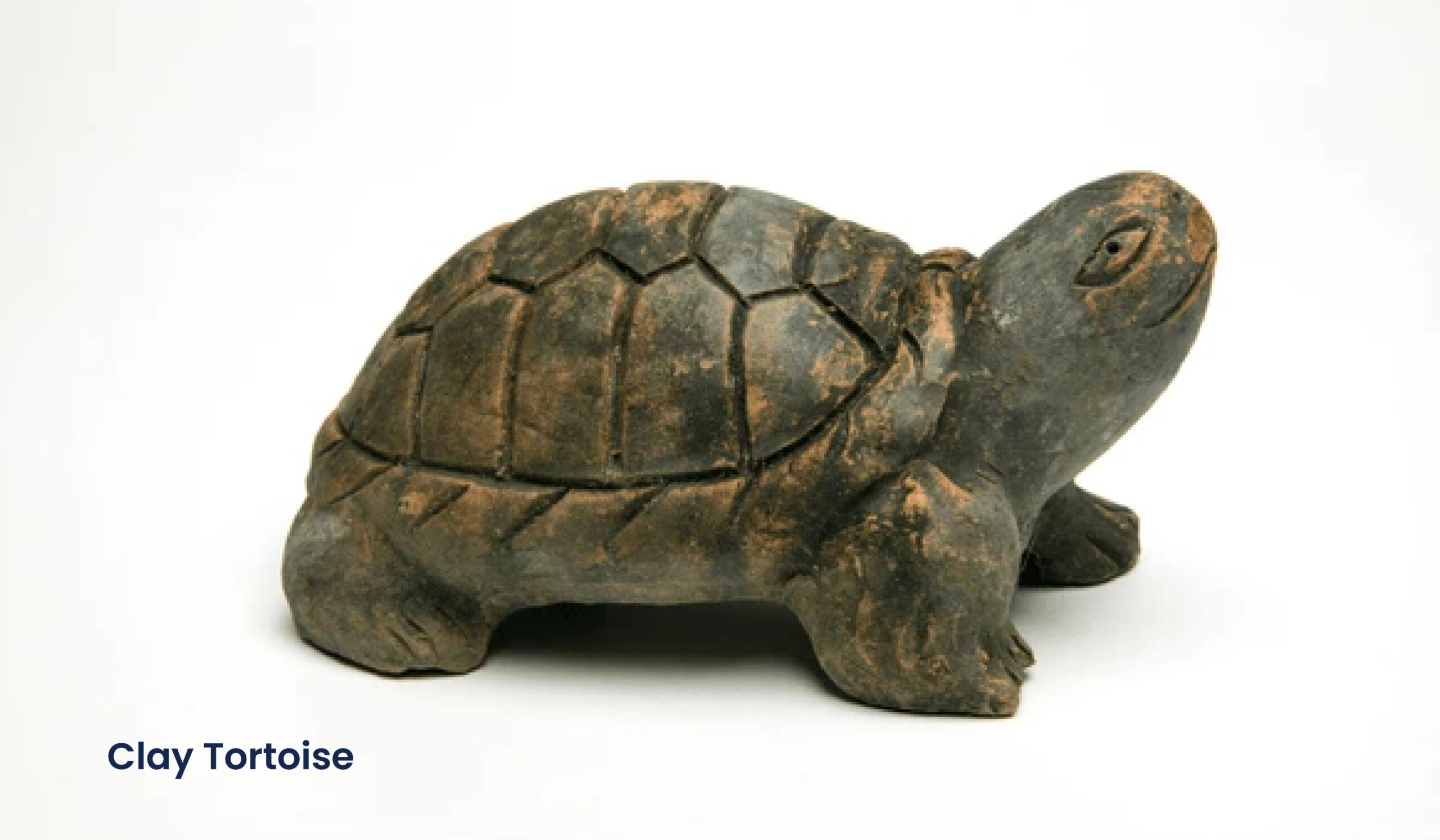 Tortoise-Vastu-Tips